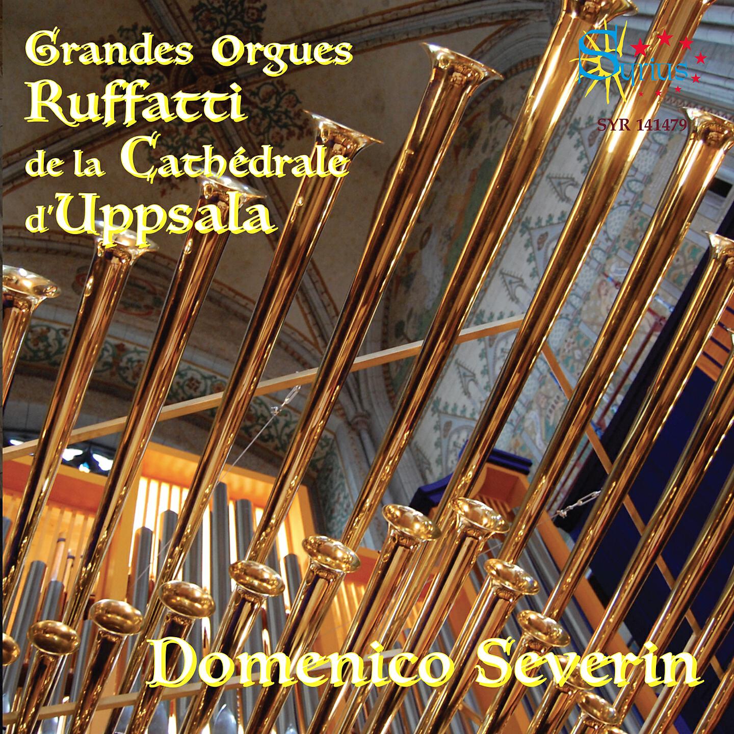 Domenico Severin