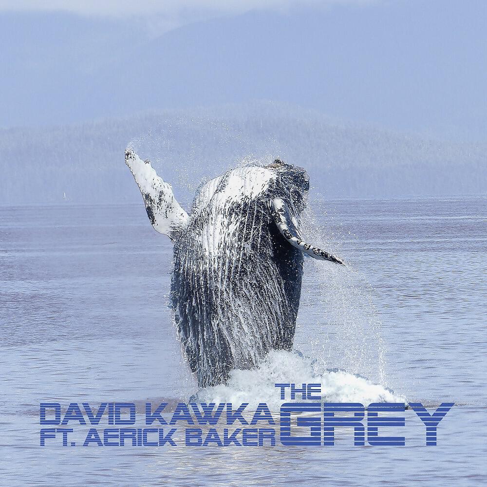 Релиз The Grey