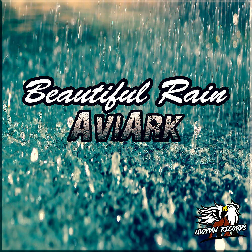 Avi Ark