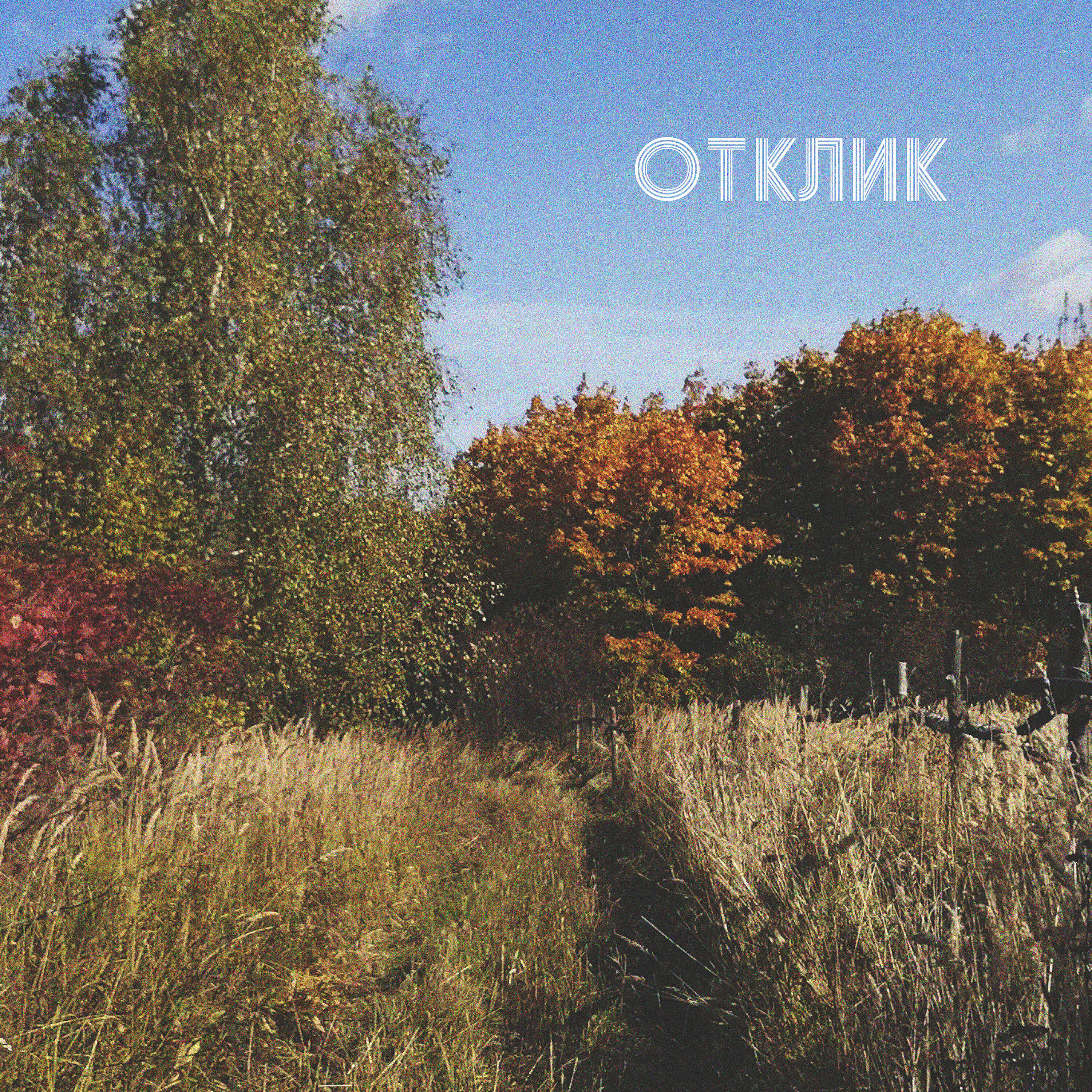 Релиз Отклик