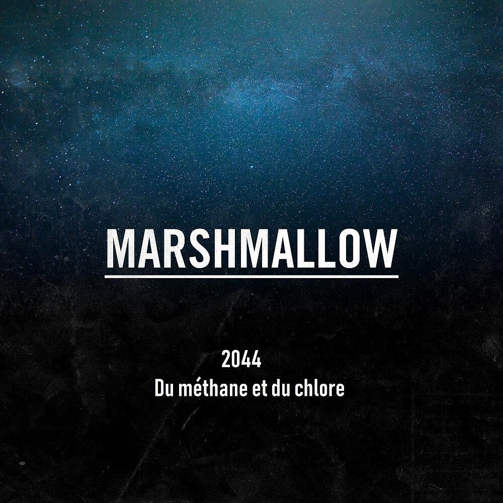 Релиз 2044 du méthane et du chlore