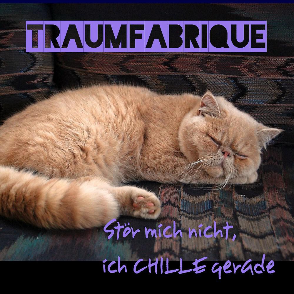Релиз Stör mich nicht, ich chille gerade