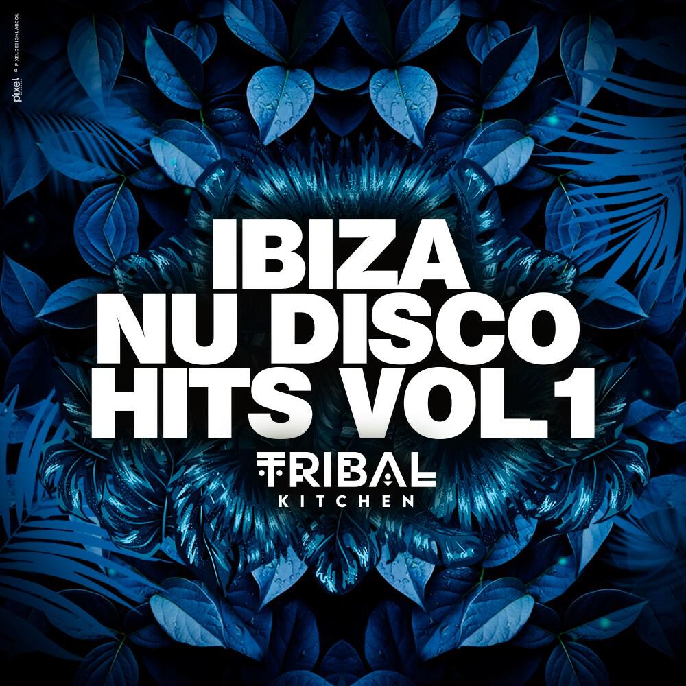 Релиз Ibiza Nu Disco Hits Vol. 1 (Tribal Kitchen)