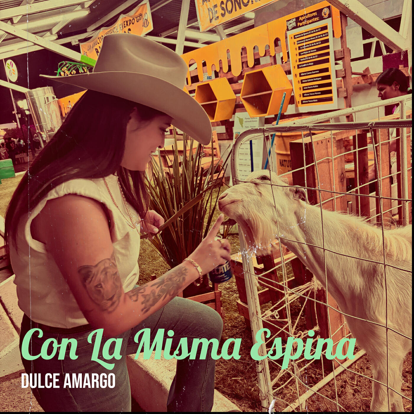 Dulce Amargo