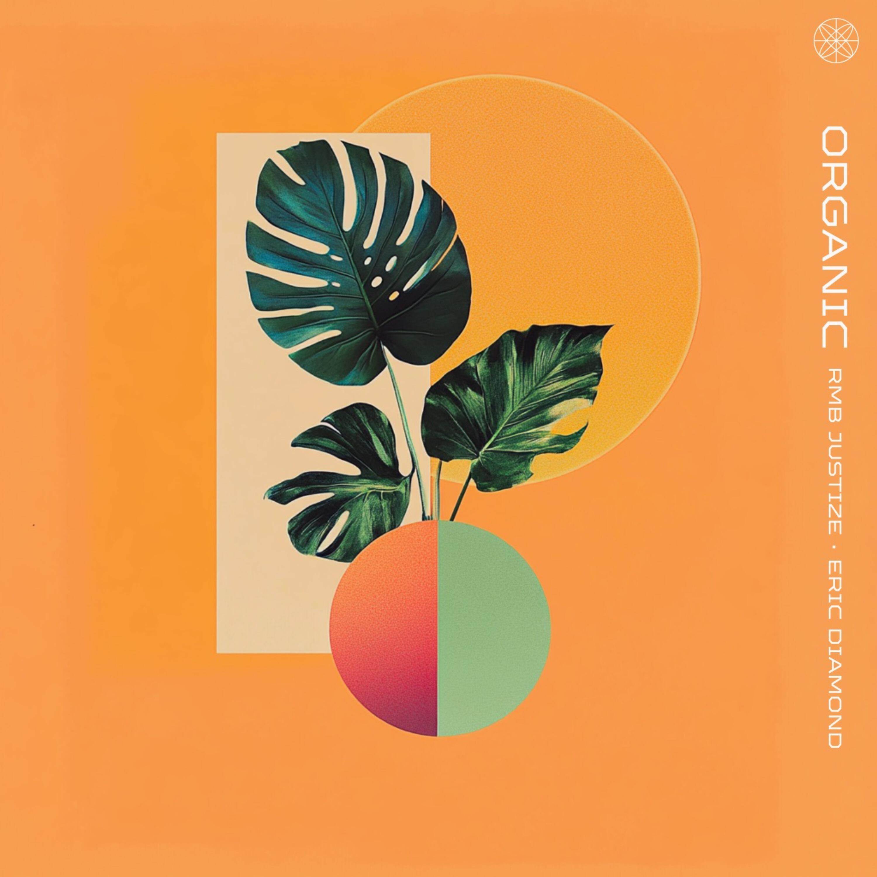 Релиз Organic