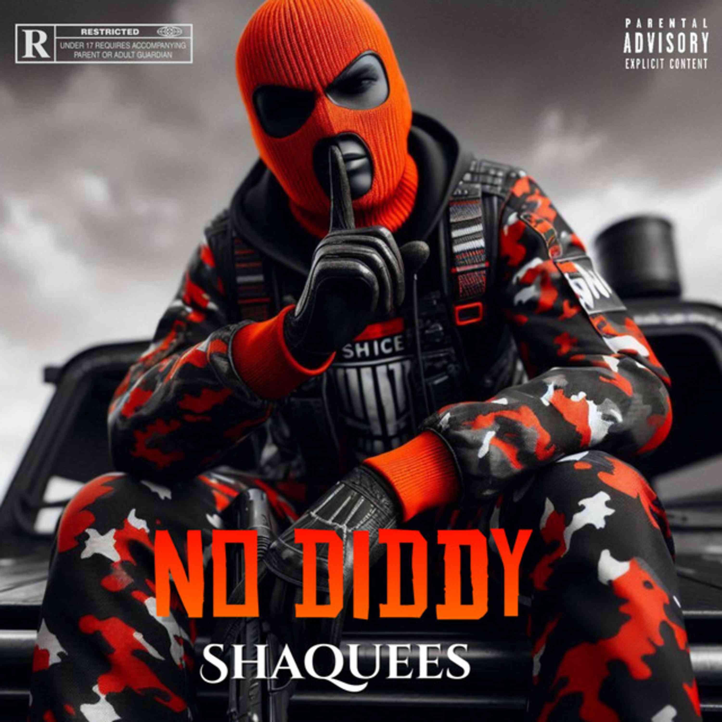 Релиз No Diddy
