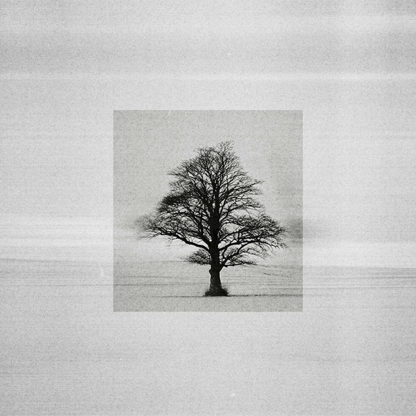 Релиз Hiver