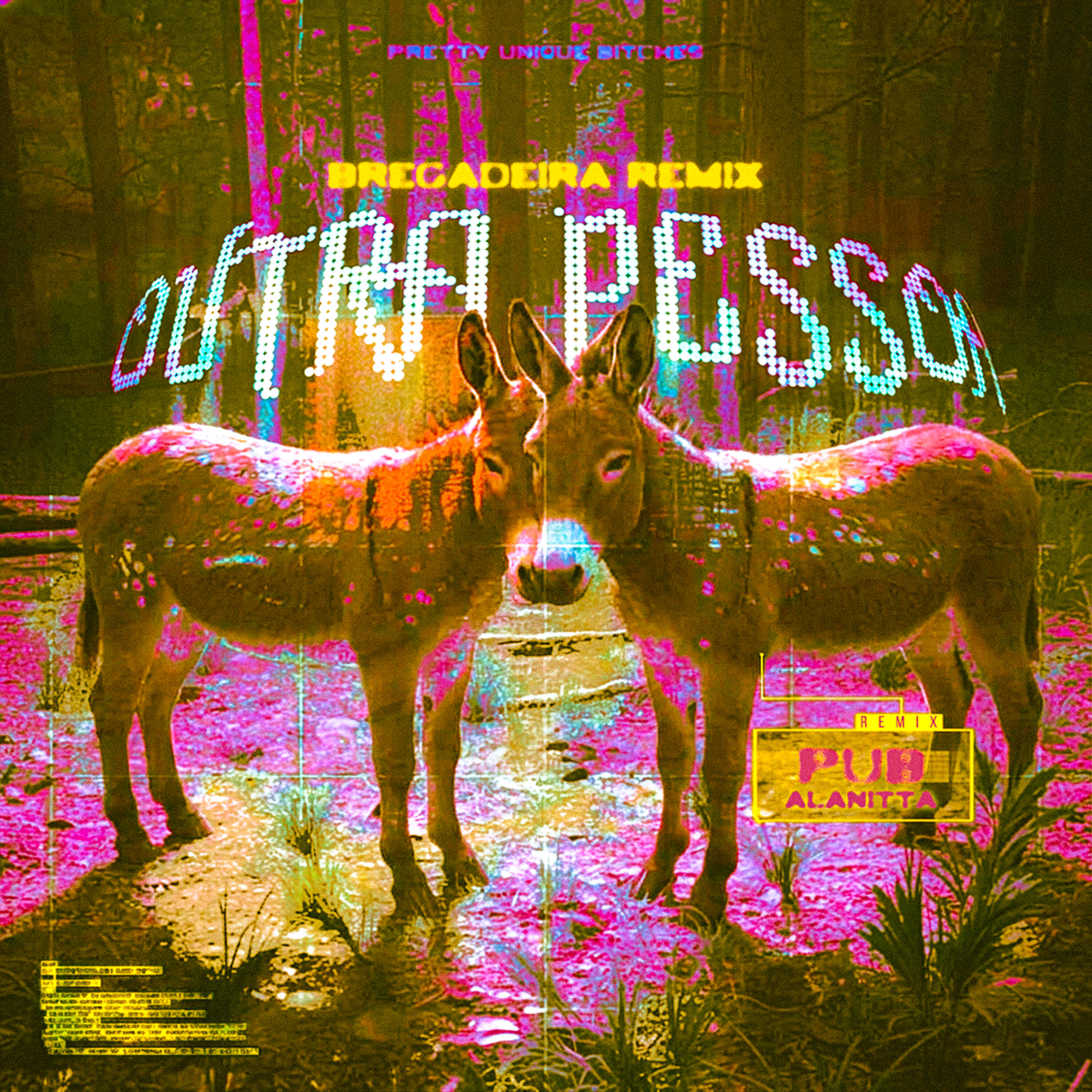 Релиз Outra Pessoa (Bregadeira)