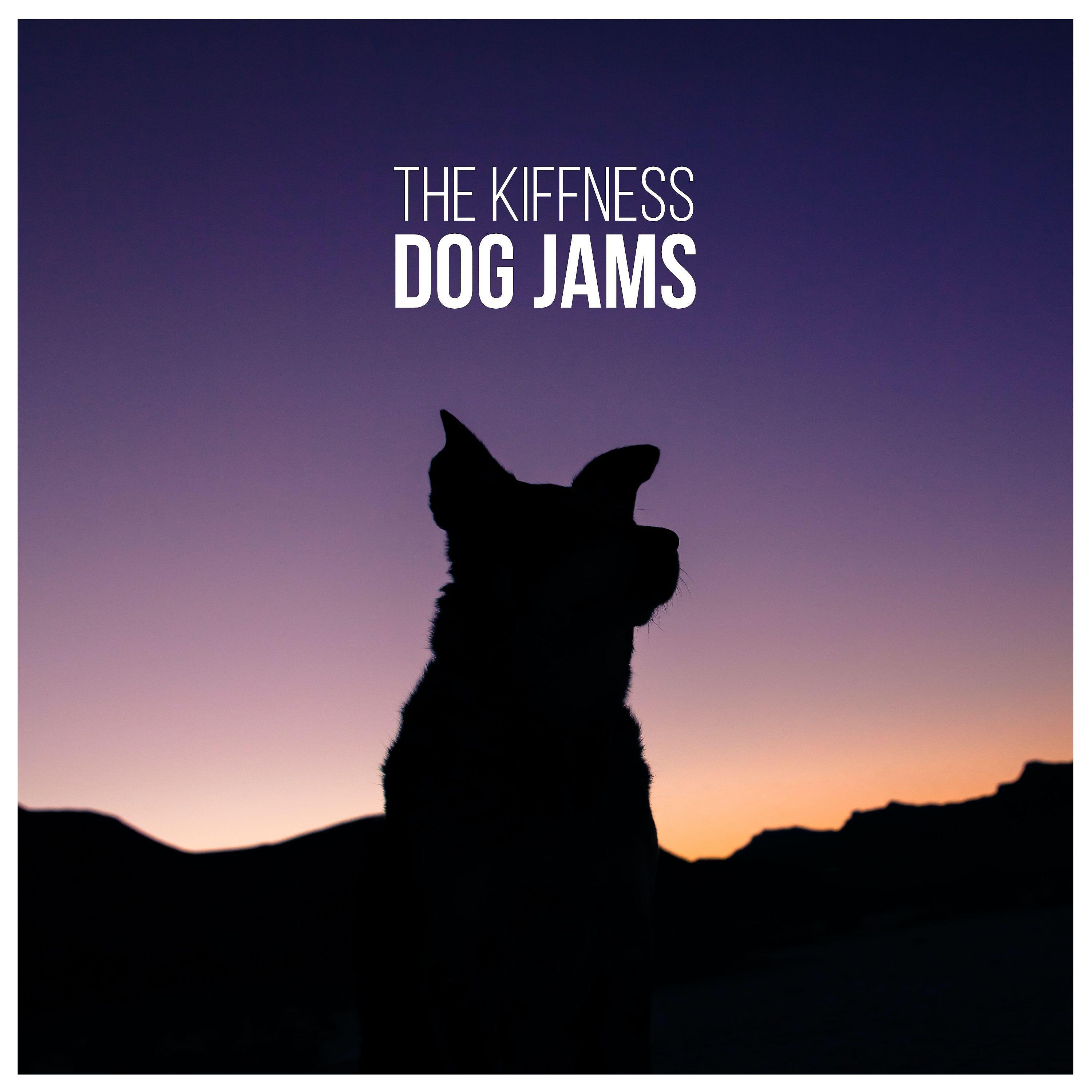 Релиз Dog Jams