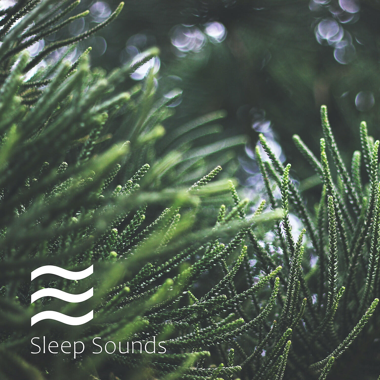 Релиз Sleepful Rainfall