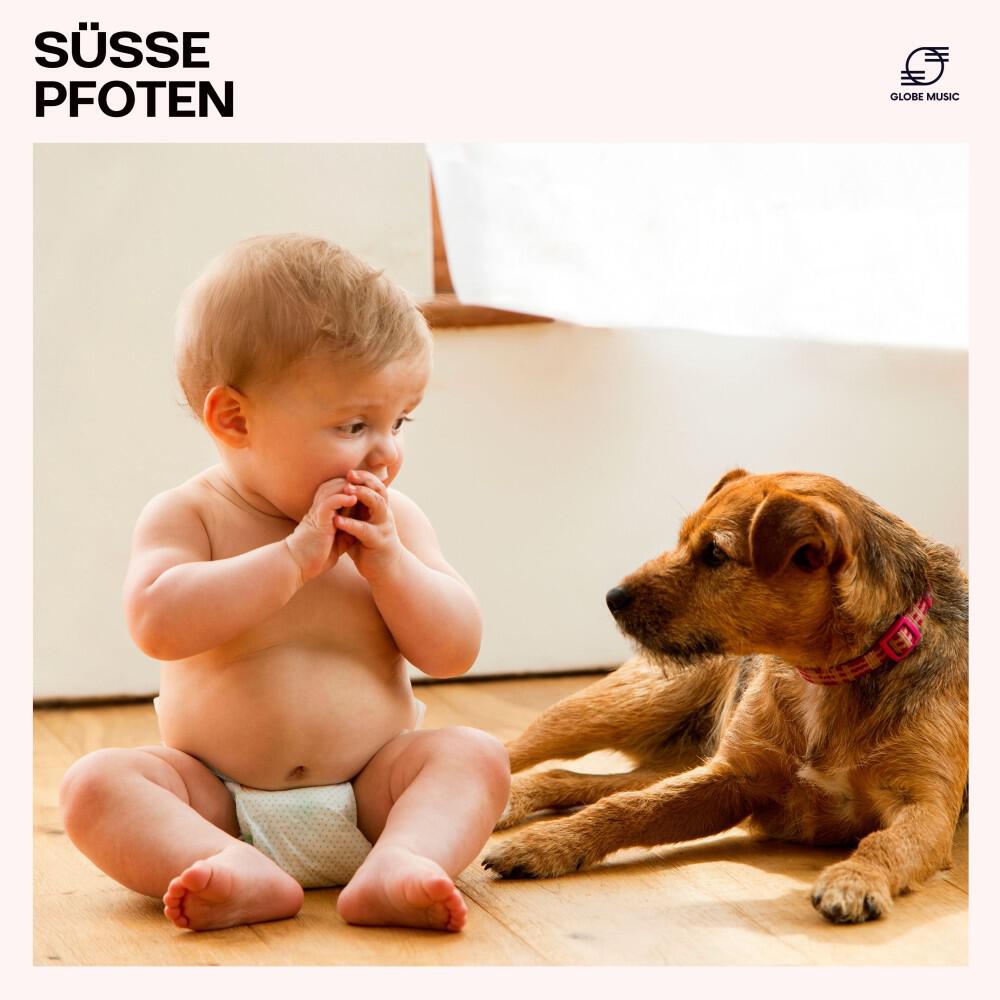 Релиз Süsse Pfoten: Entspannungsmusik für Hunde