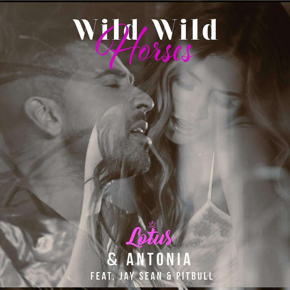 Скачать песню Lotus, Antonia, Jay Sean, Pitbull - Wild Wild Horses (BigBeat Extended Remix) бесплатно в MP3 для Android и iOS