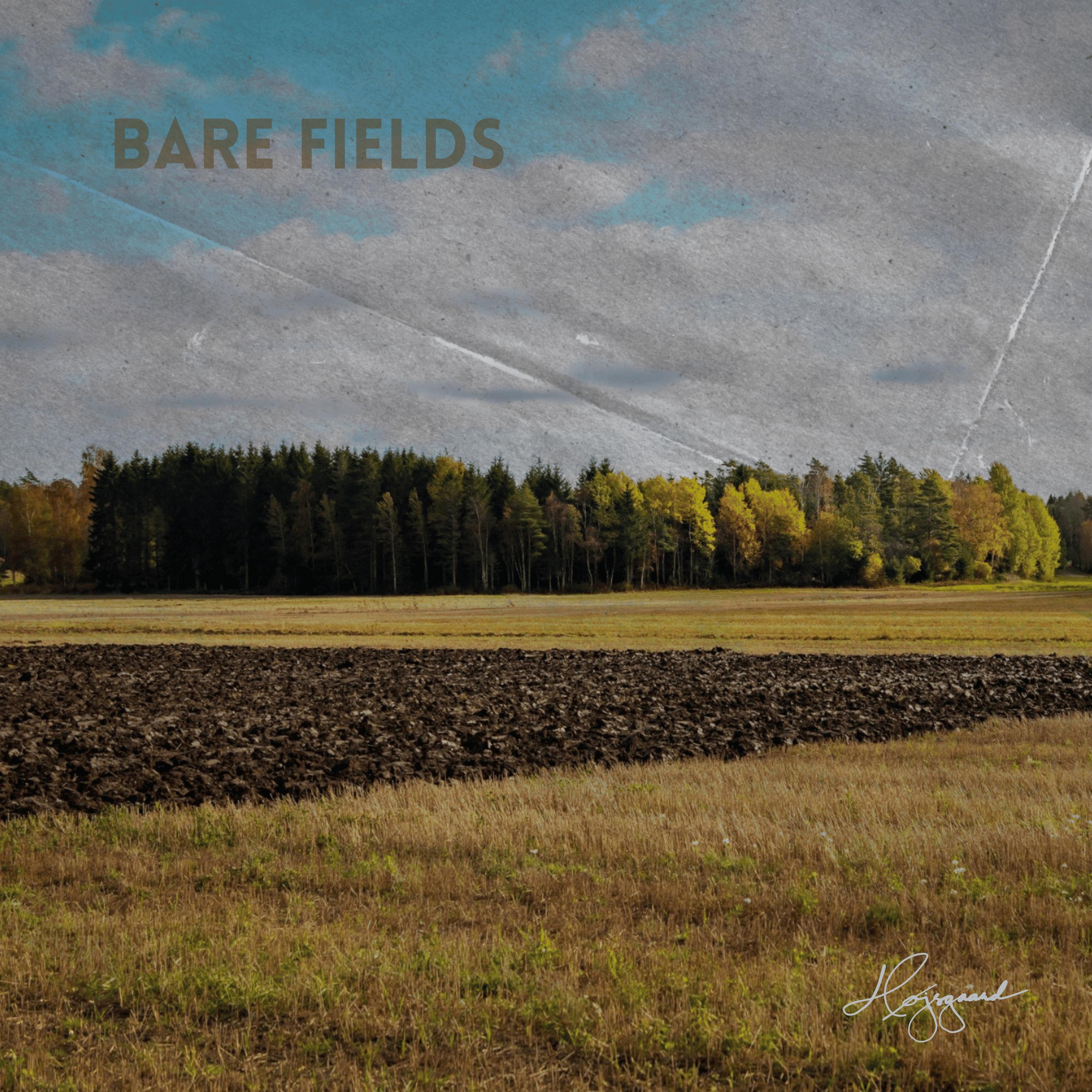 Релиз Bare Fields