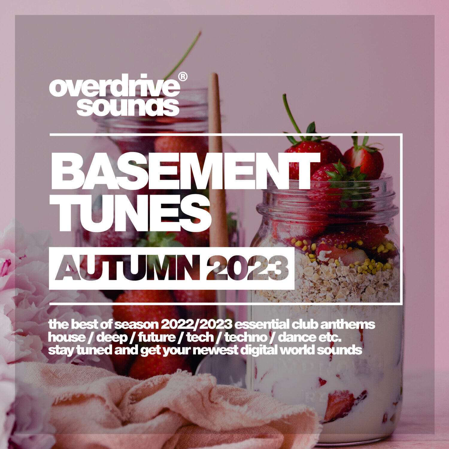 Релиз Basement Autumn Music 2023