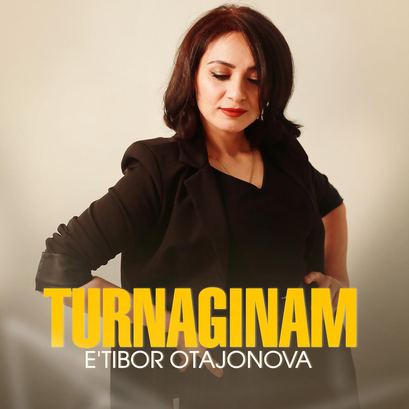 Релиз Turnaginam