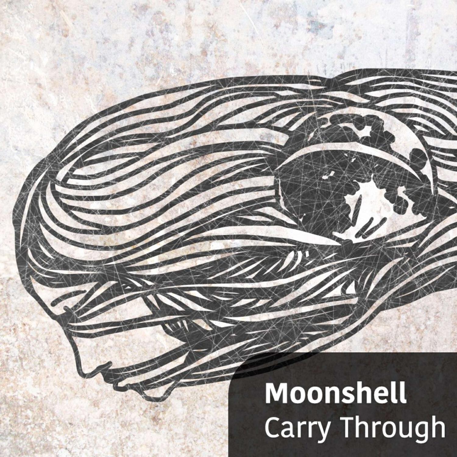 Постер альбома Carry Through