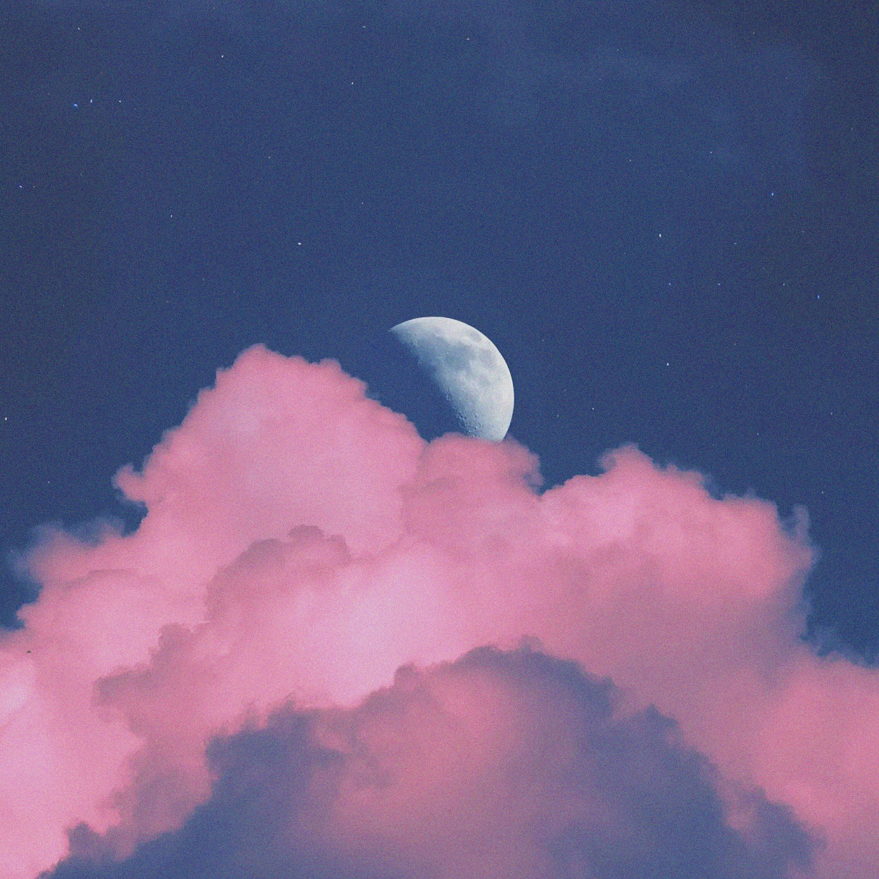 Постер альбома Velvet Nightfall