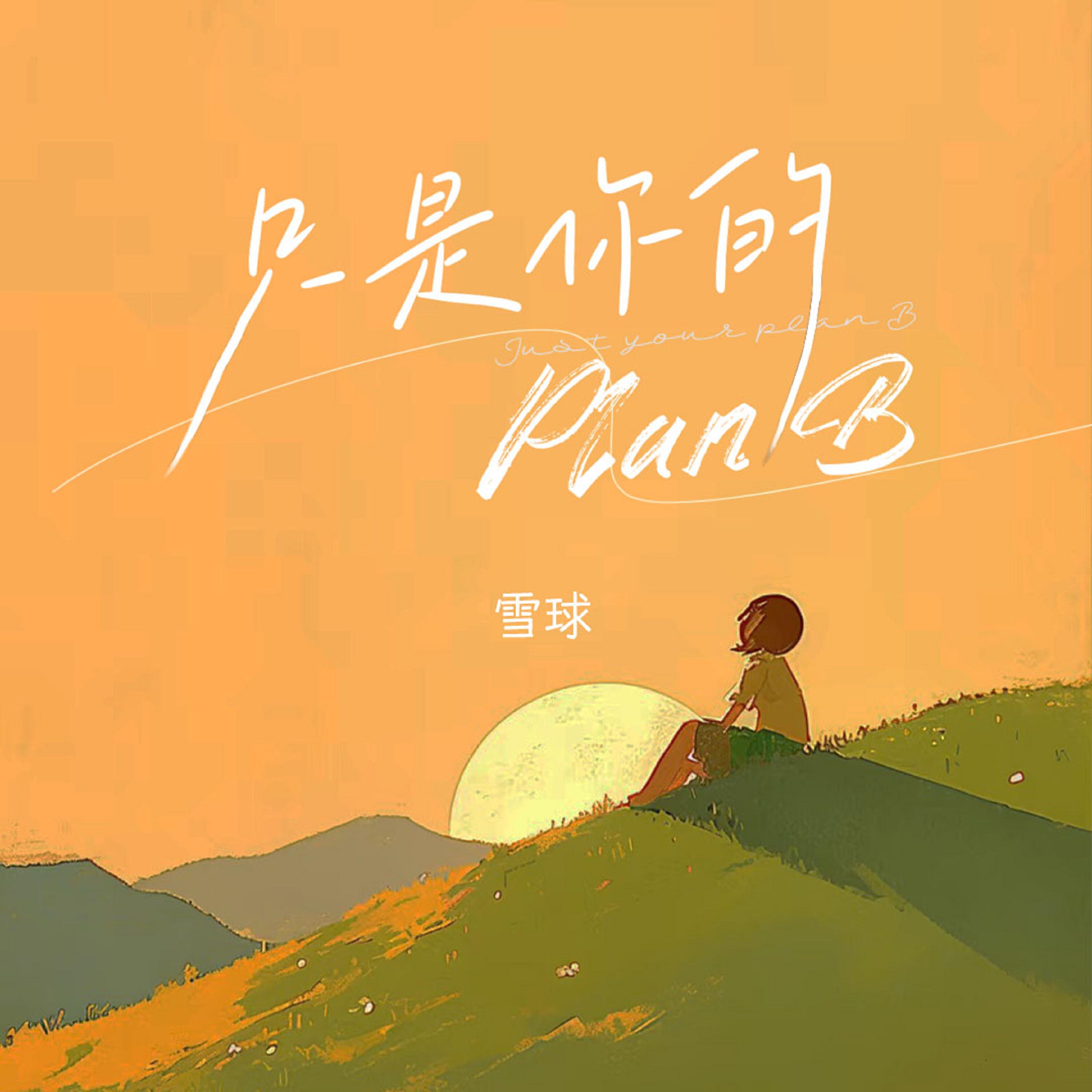 Релиз 只是你的PlanB