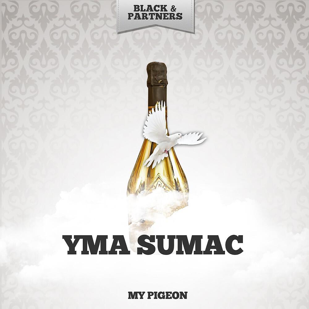 Релиз My Pigeon