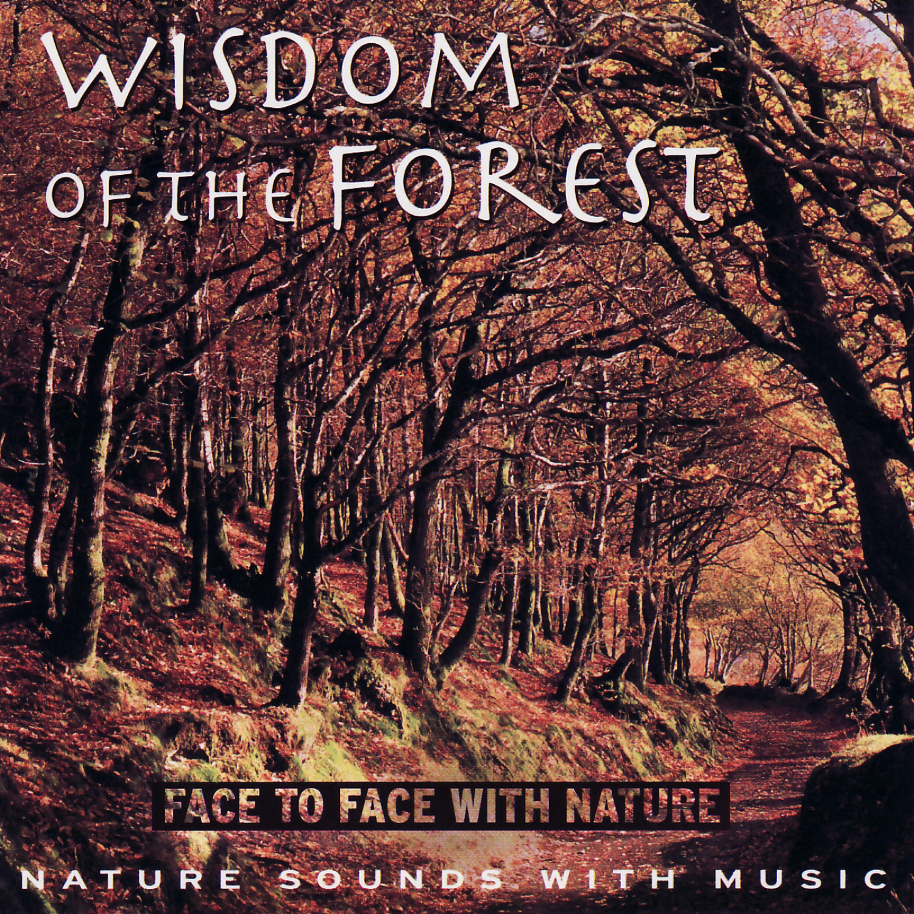 Релиз Wisdom of the Forest