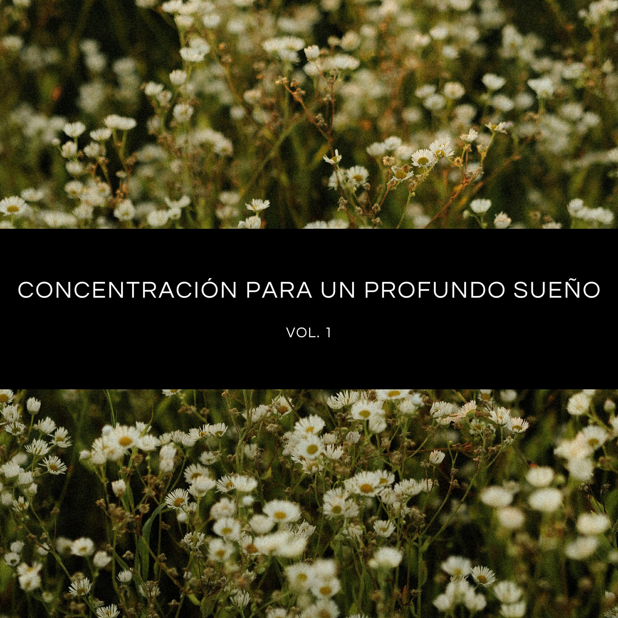 Релиз Concentración Para Un Profundo Sueño Vol. 1