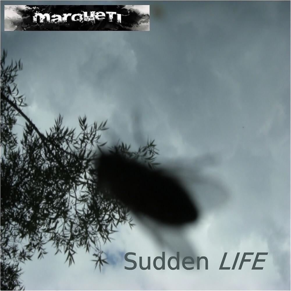 Релиз Sudden Life