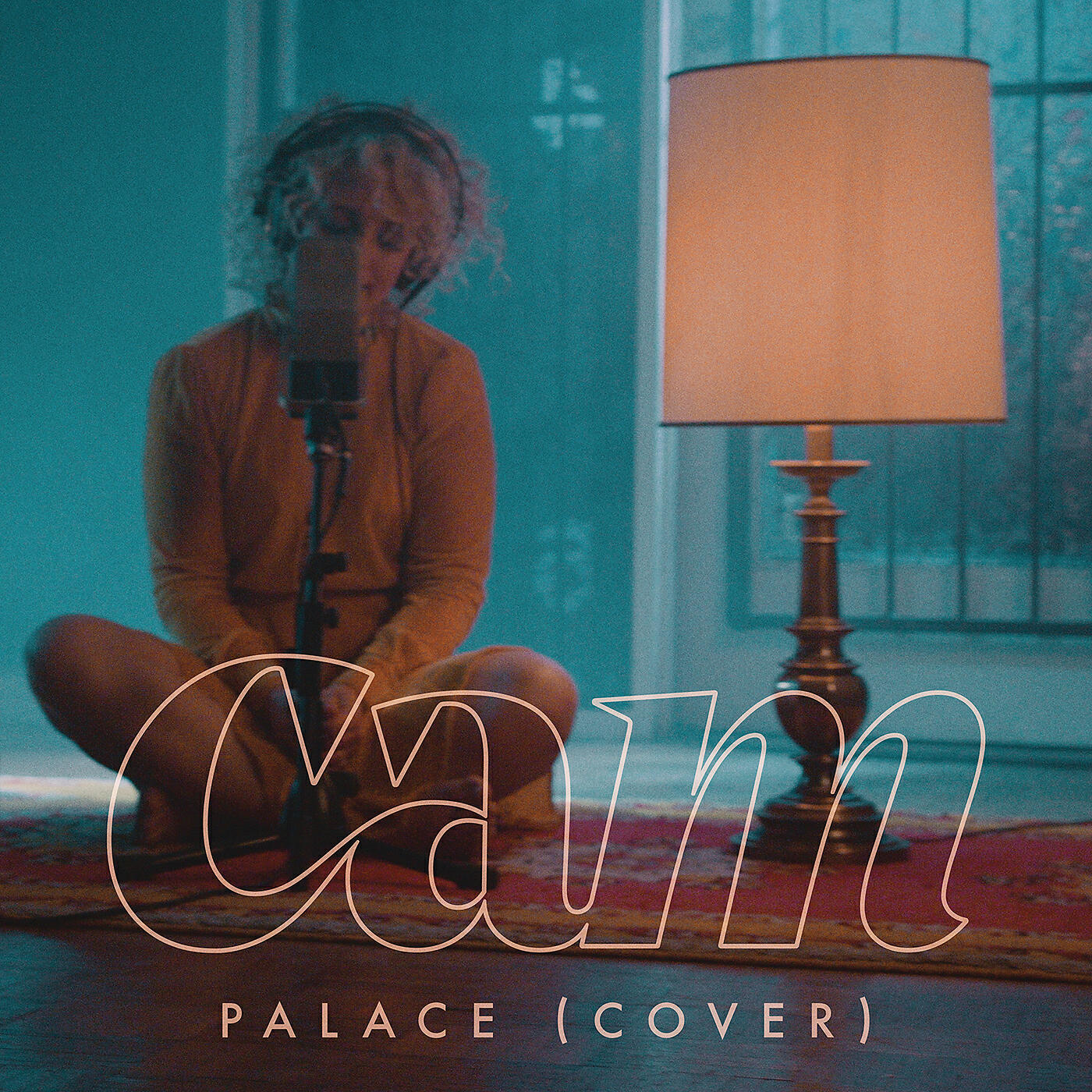Постер альбома Palace (Cover) / Diane