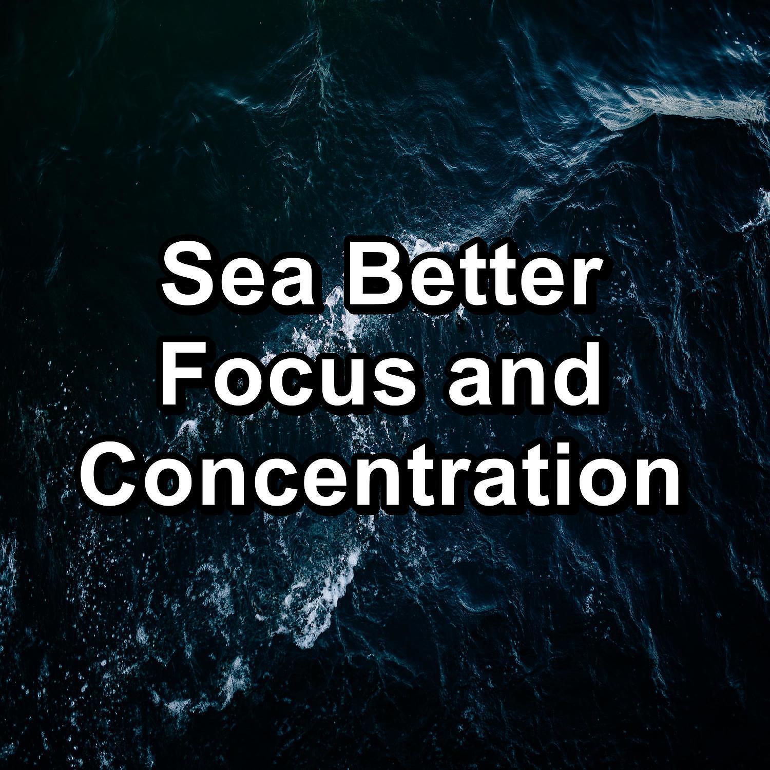 Релиз Sea Better Focus and Concentration