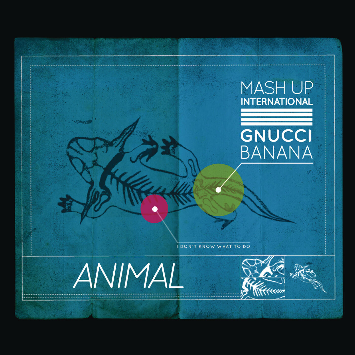 Релиз Animal
