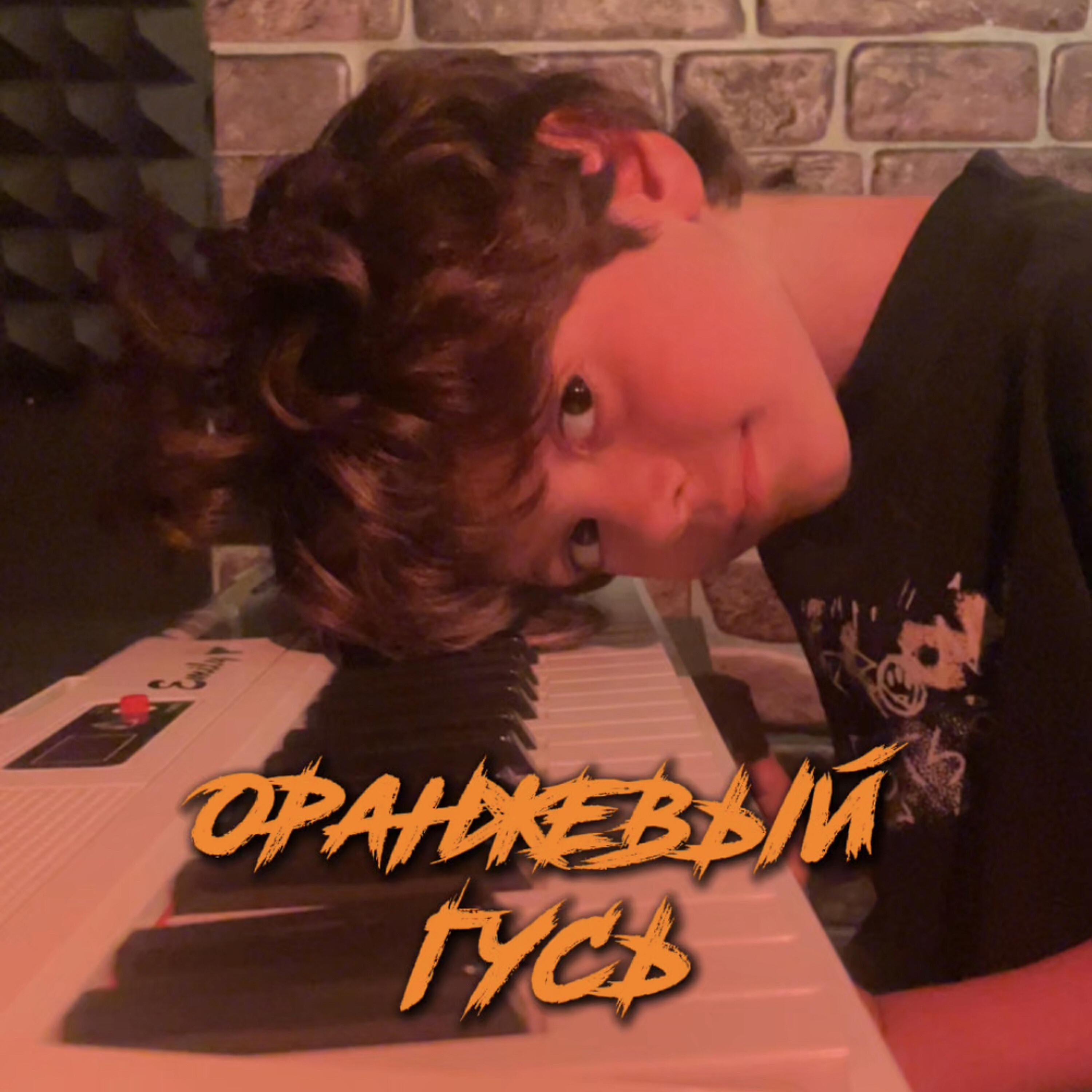 Релиз Оранжевый гусь