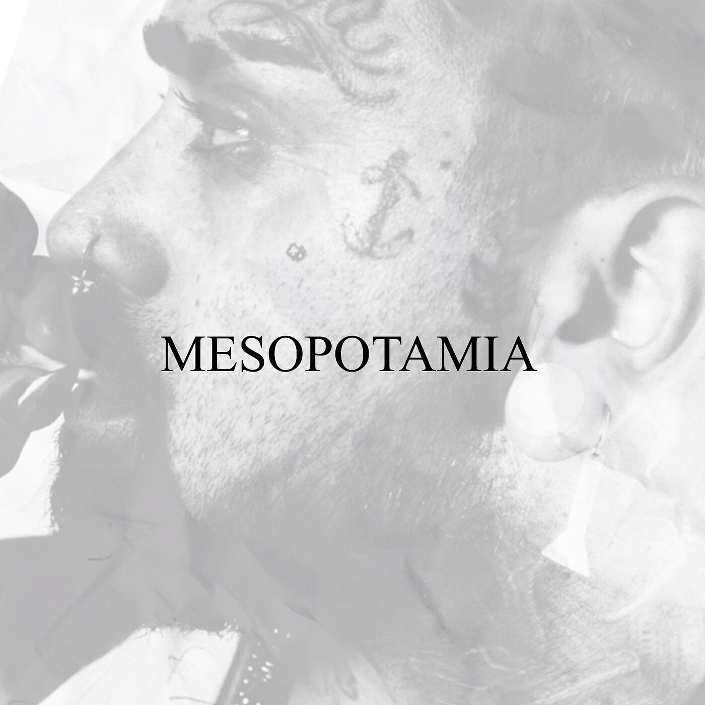 Релиз Mesopotamia
