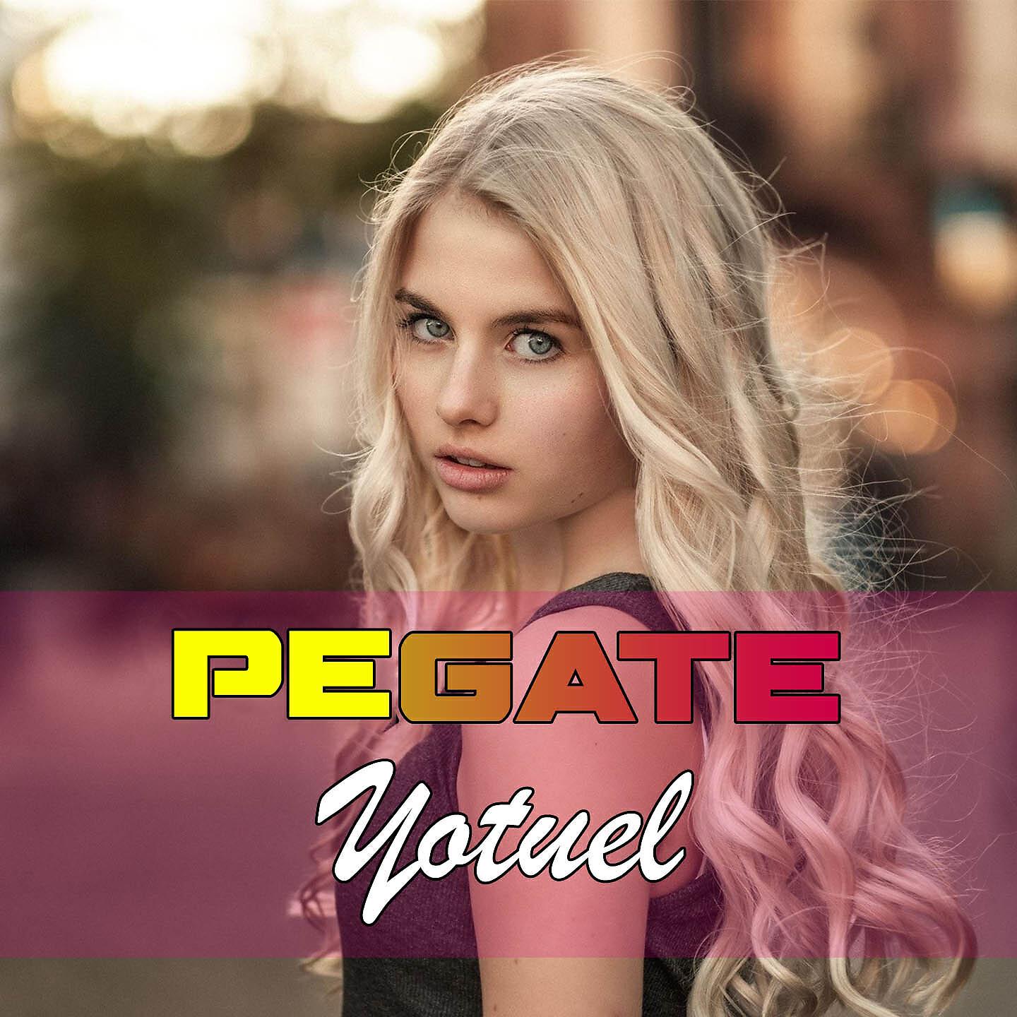 Релиз Pegate