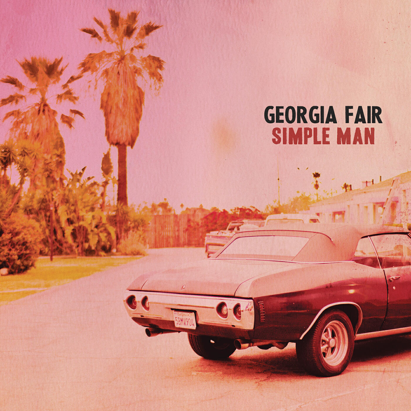 Релиз Simple Man