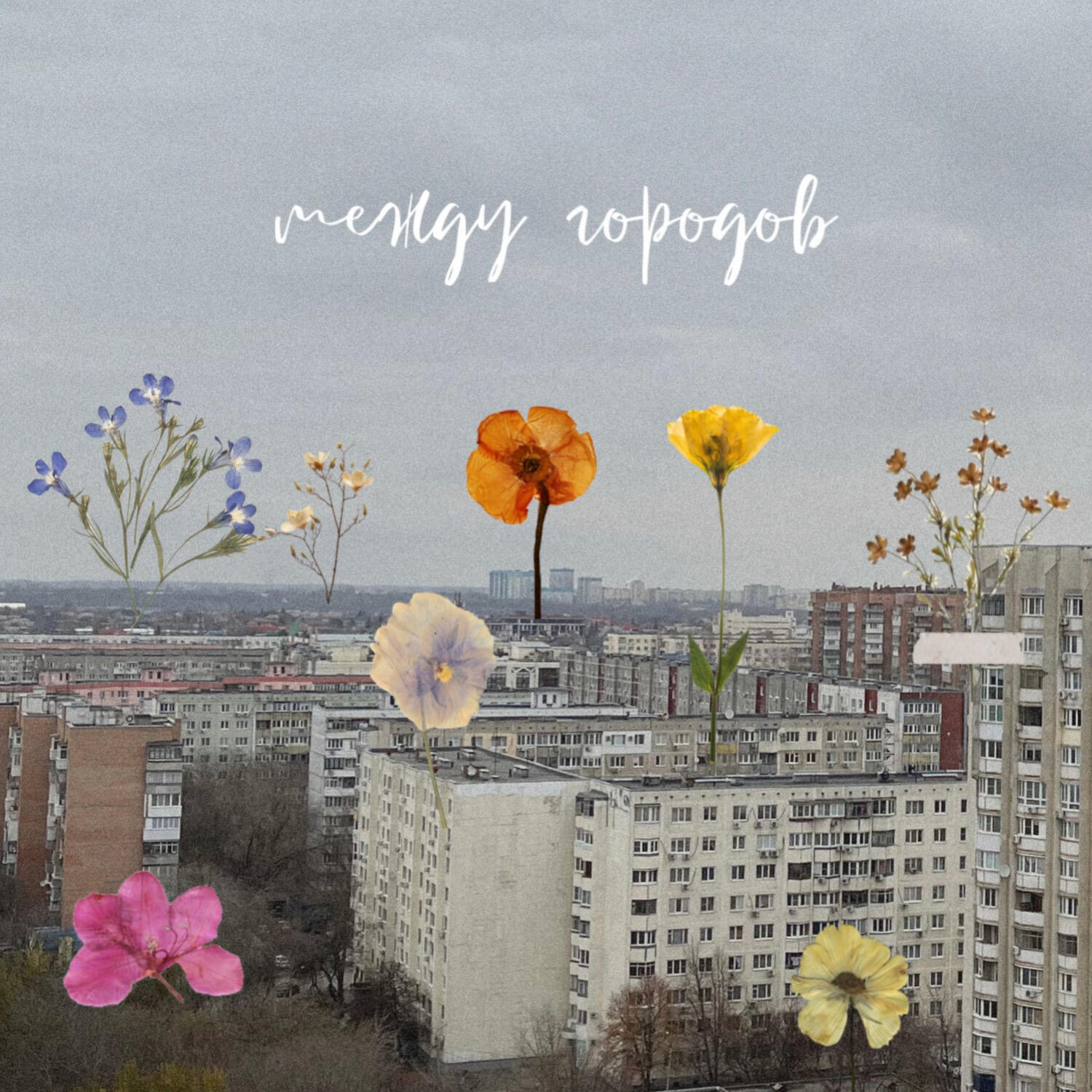 Релиз между городов