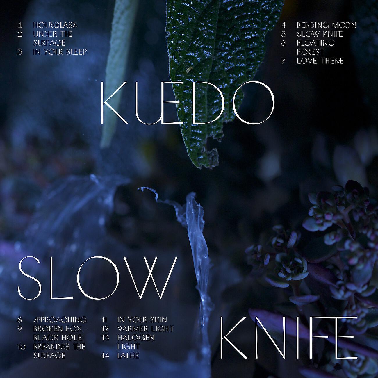 Релиз In Your Sleep