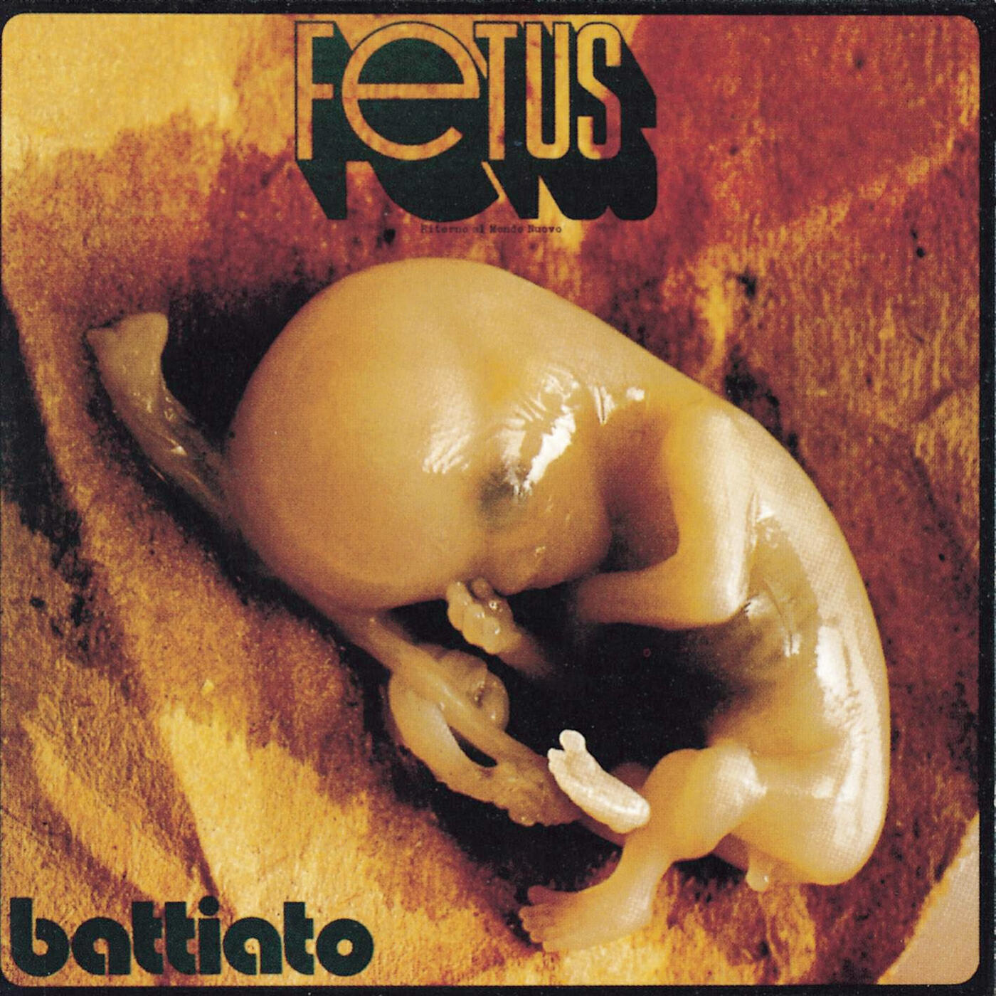 Релиз Fetus