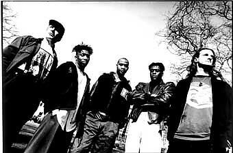 The Vibrophonics