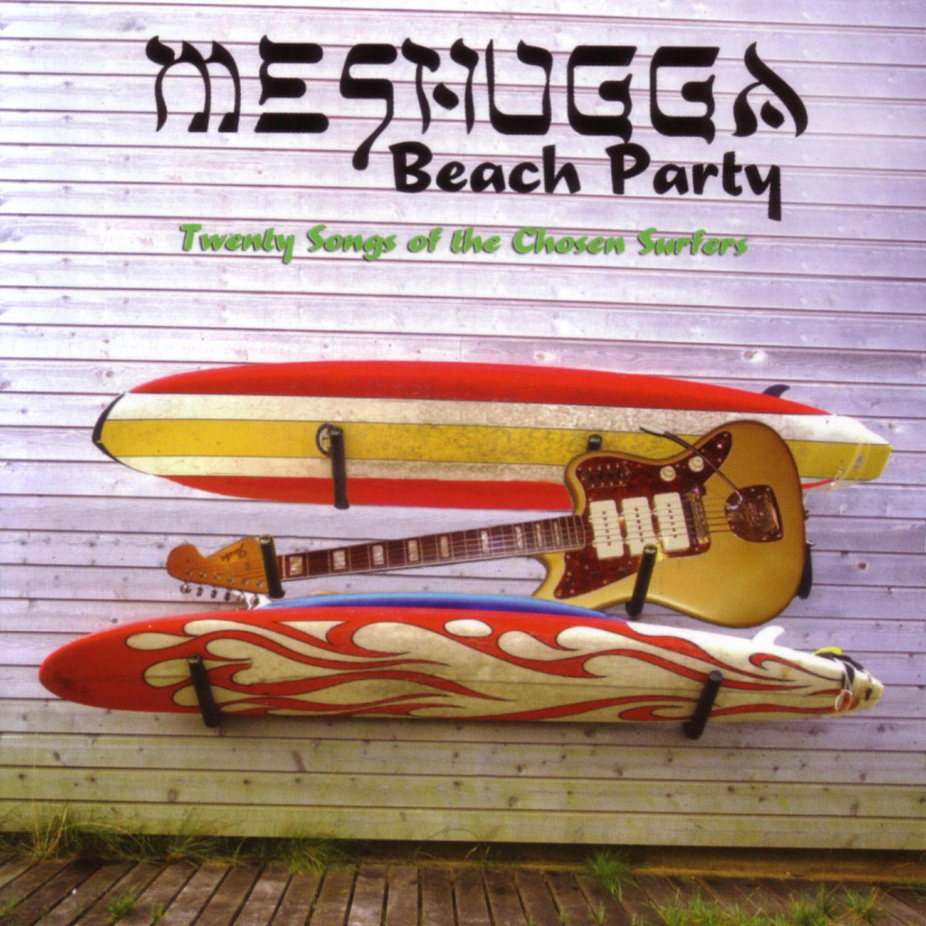 Постер альбома Twenty Songs Of The Chosen Surfer