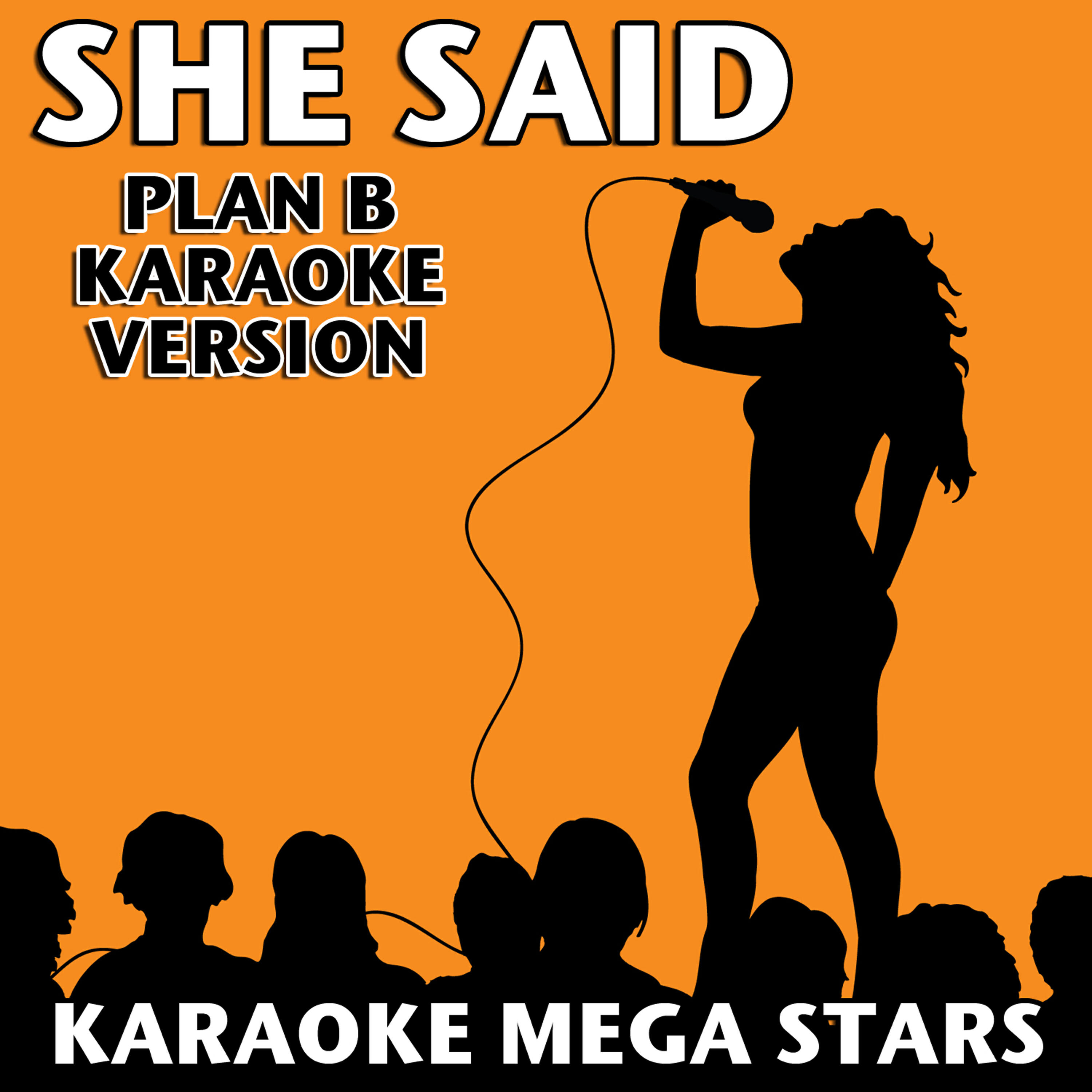 Релиз She Said (Plan B Karaoke Version)