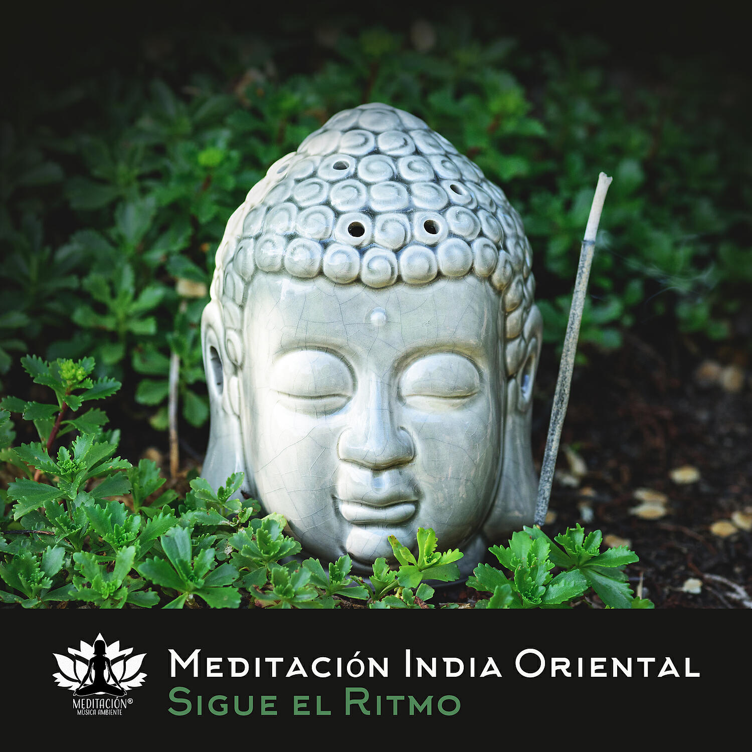 Релиз Meditacion India Oriental: Sigue el Ritmo