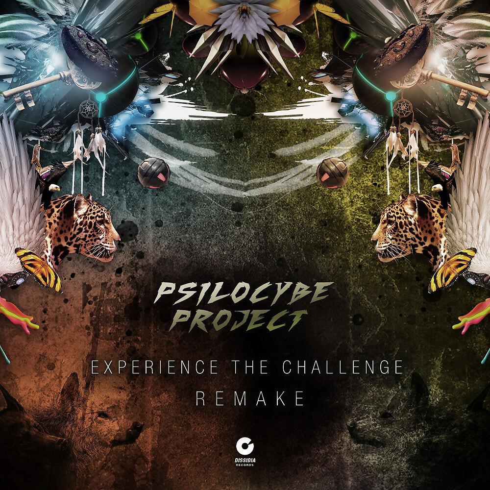 Релиз Experience the Challenge (Remake)
