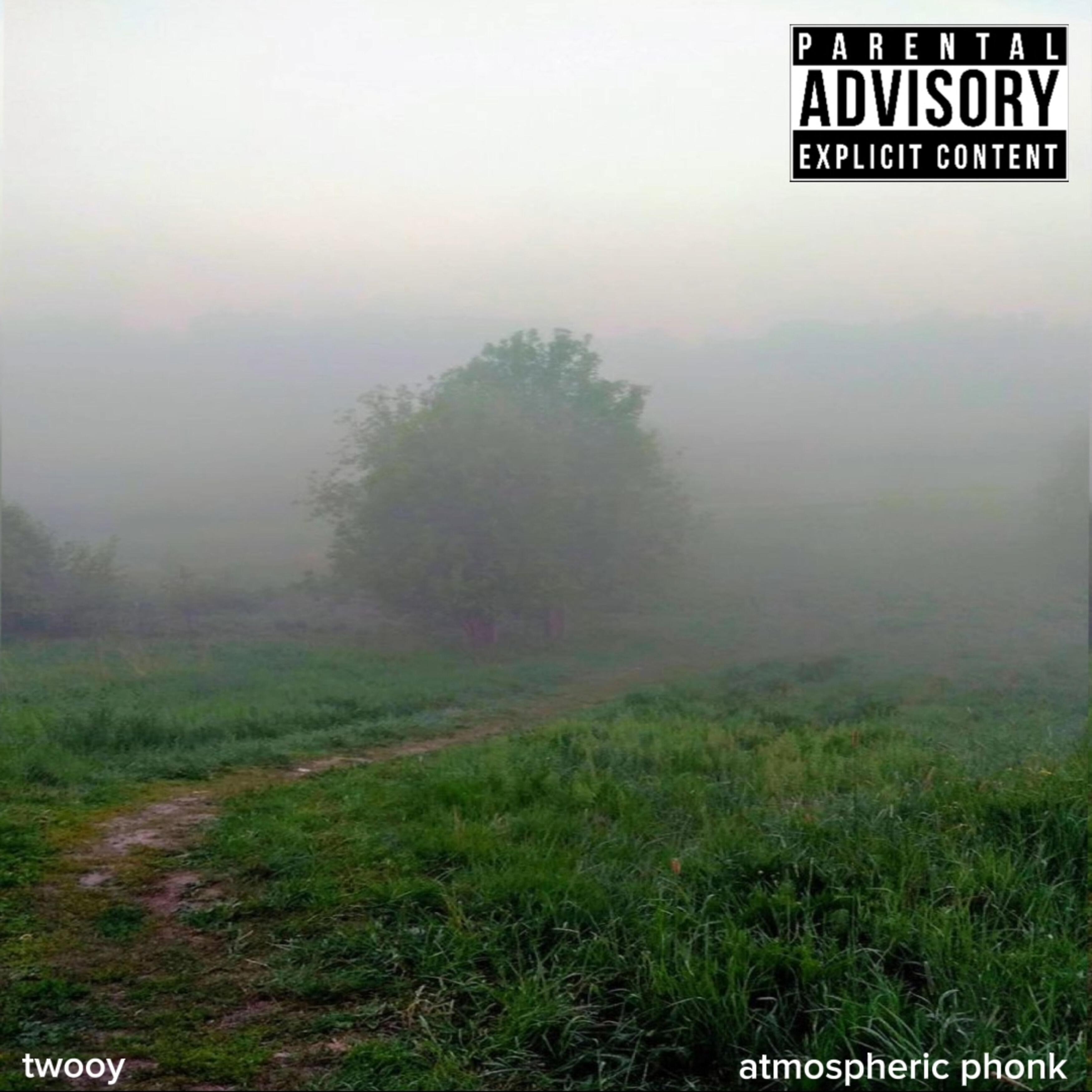 Релиз Atmospheric Phonk