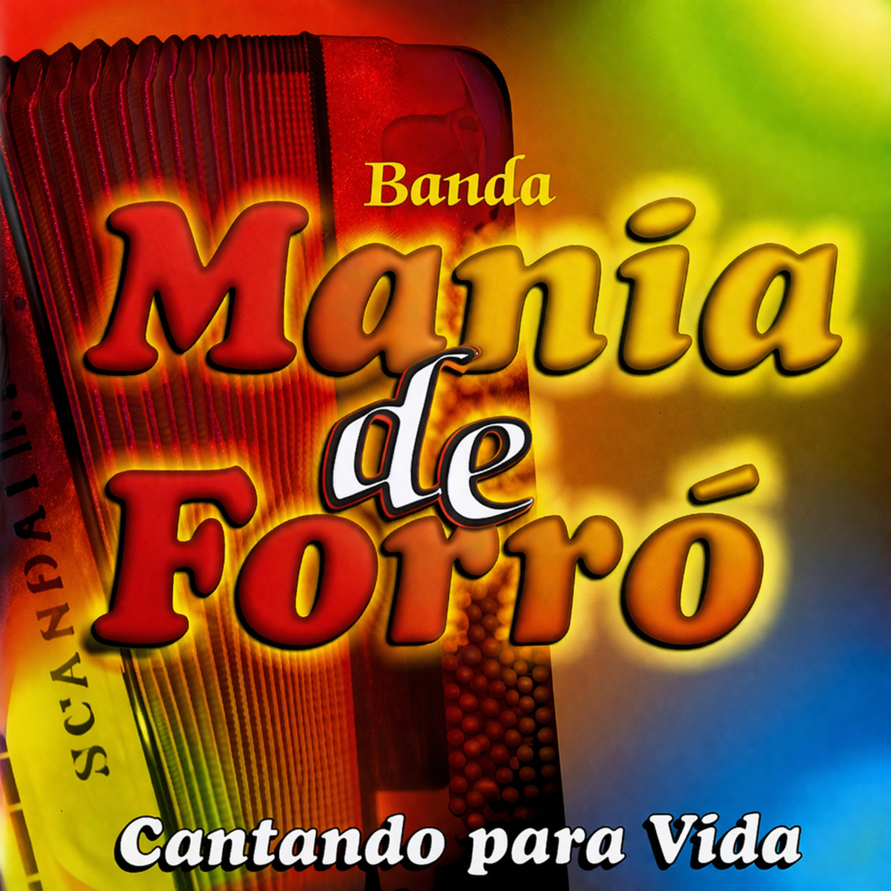 Banda Mania de Forró
