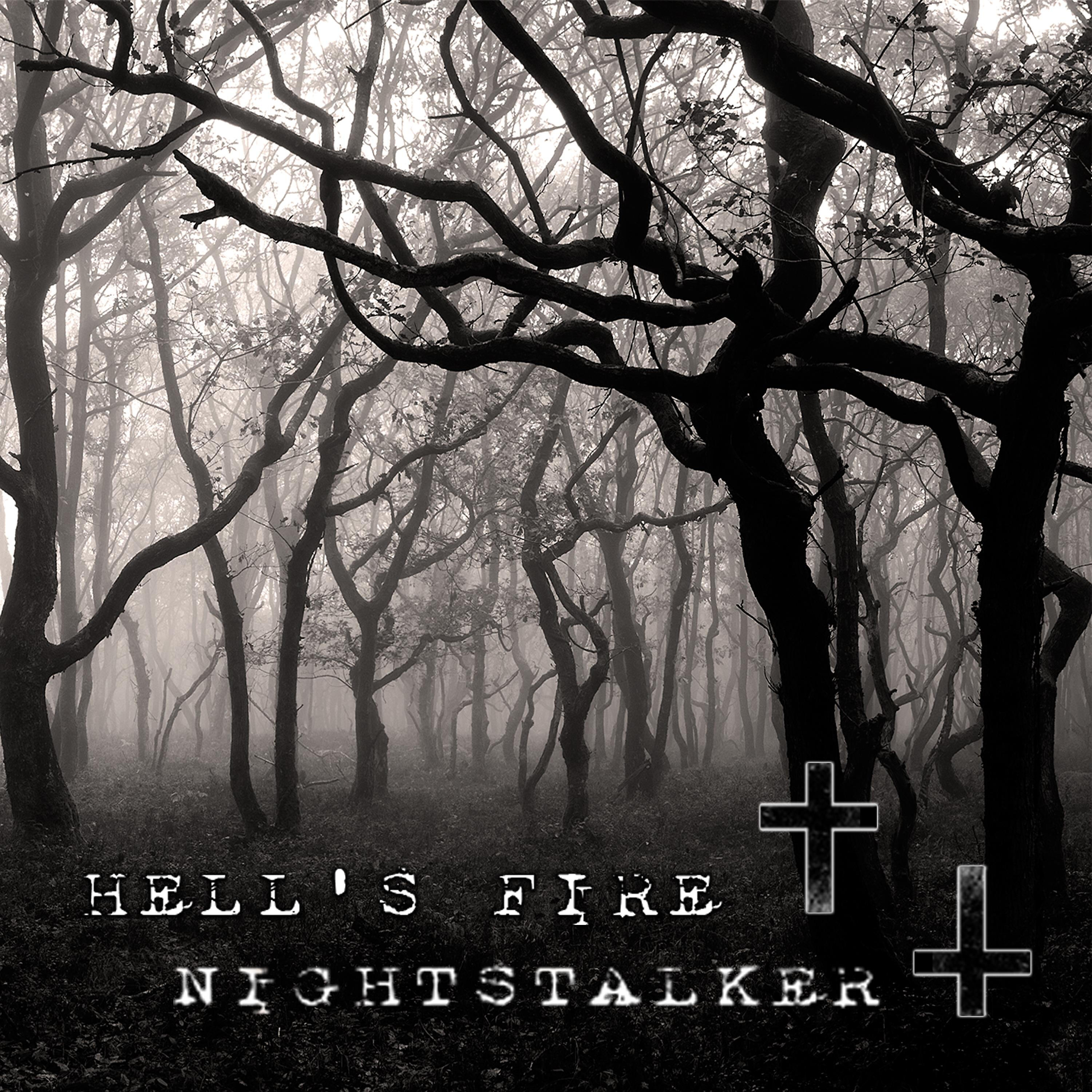 Постер альбома Nightstalker