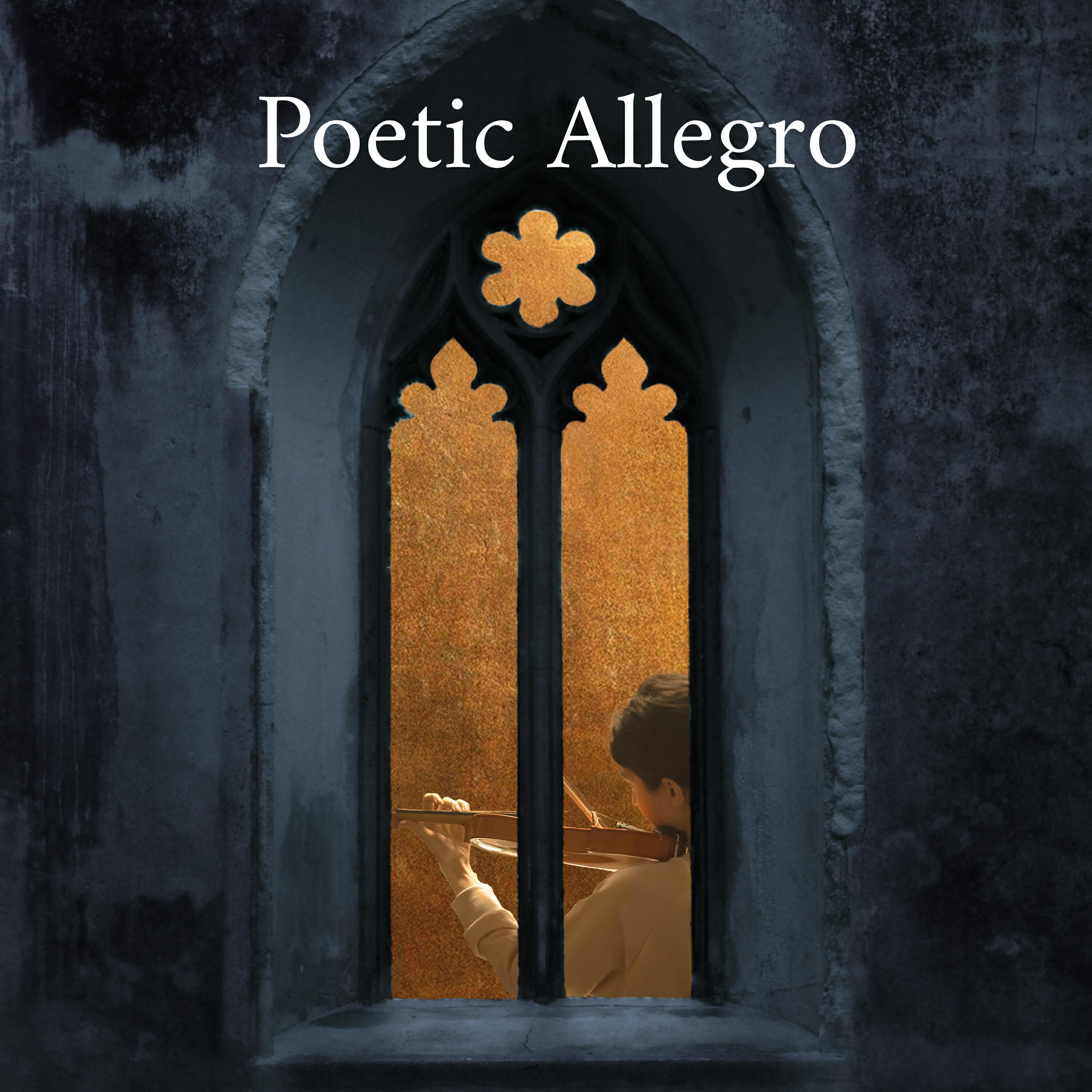 Релиз Poetic Allegro