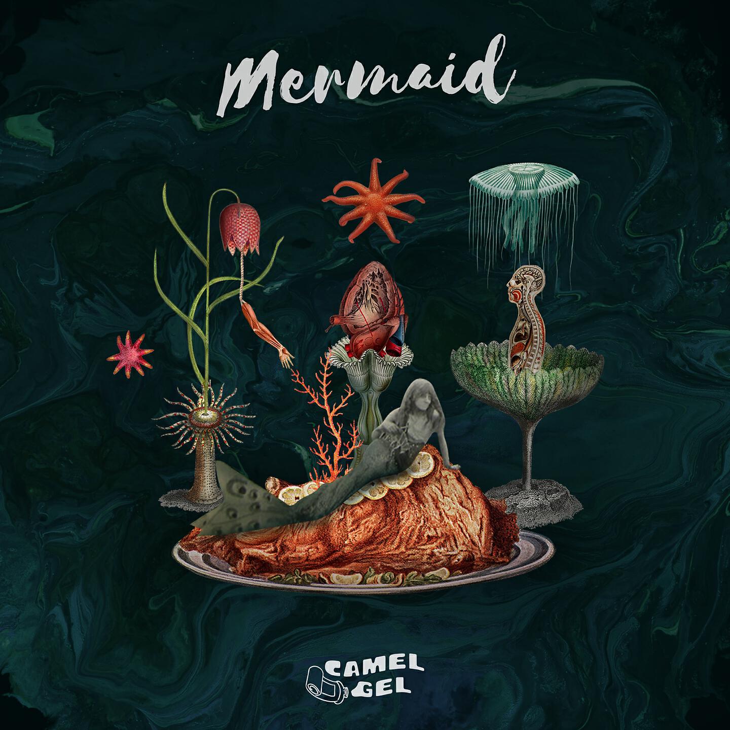 Релиз Mermaid