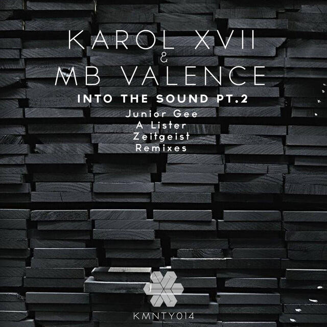 Релиз Into the Sound (Remixes), Pt. 2