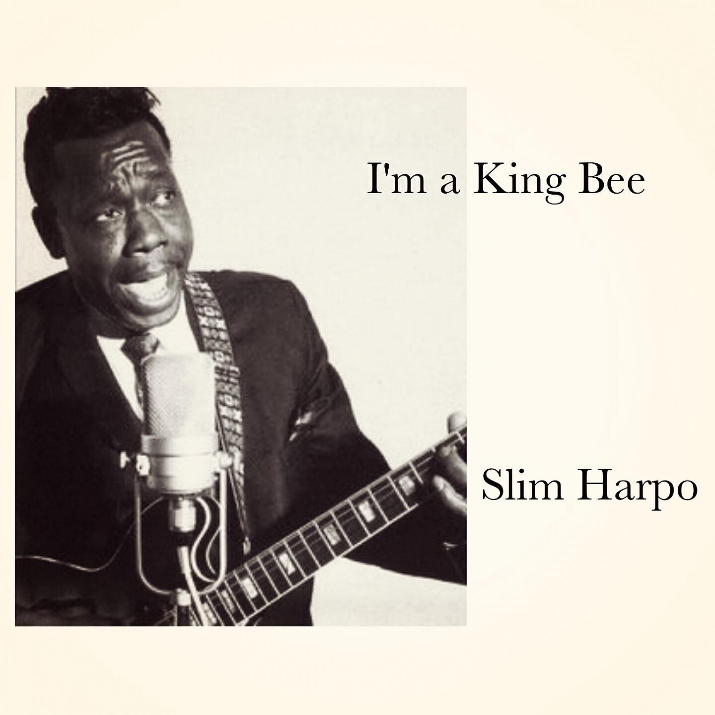 Релиз I'm a King Bee