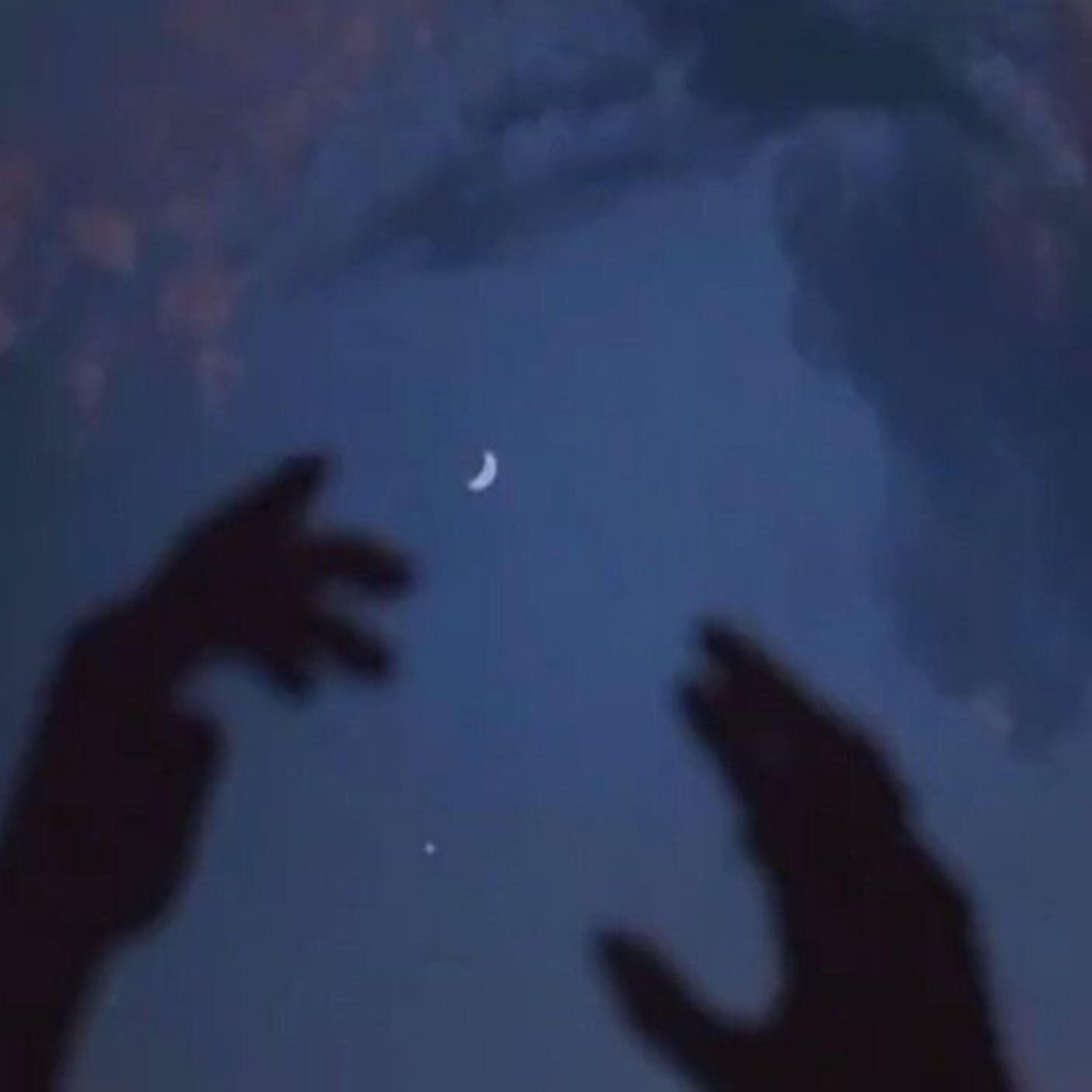 Релиз Goodbye Disappearance