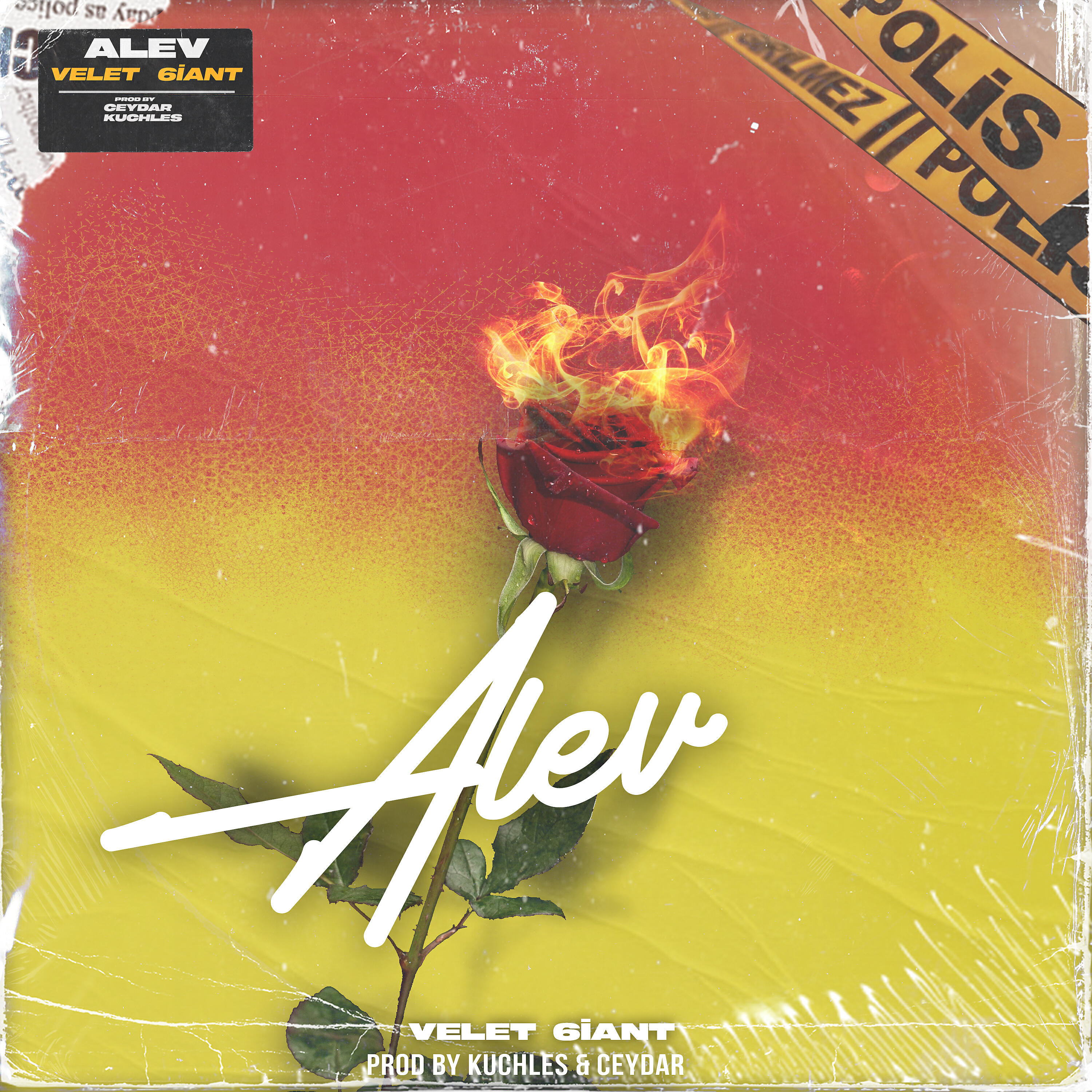 Alev
